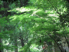 camp22 (147)_samu.gif